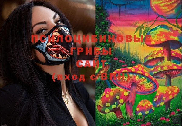 дживик Карталы